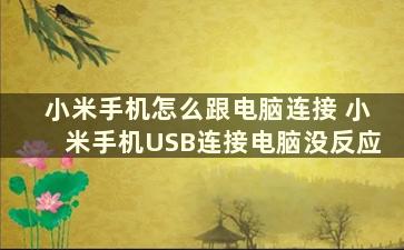 小米手机怎么跟电脑连接 小米手机USB连接电脑没反应